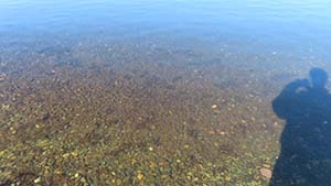 �N���b�N���Ċg��